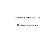 Sensory modalities