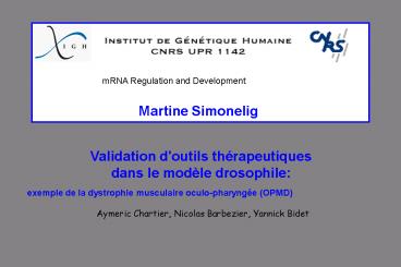 Aucun titre de diapositive