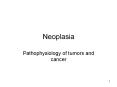 Neoplasia PowerPoint PPT Presentation