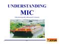 MIC Presentation PowerPoint PPT Presentation