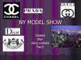 NY MODEL SHOW PowerPoint PPT Presentation