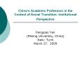 Chinas Academic Profession in the Context of Social Transition: Institutional Perspective PowerPoint PPT Presentation