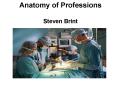 Anatomy of Professions Steven Brint PowerPoint PPT Presentation