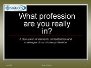 What profession are you really in