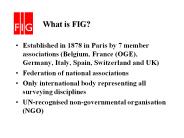 What is FIG?