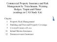 Commercial Property Insurance and Risk Management by Trieschmann, Weining, Hedges, Trupin and Flitner (readings in CAS Study Kit) PowerPoint PPT Presentation