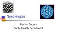 Noroviruses PowerPoint PPT Presentation