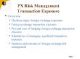 FX Risk Management Transaction Exposure PowerPoint PPT Presentation