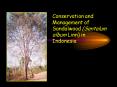 Conservation and Management of Sandalwood Santalum album Linn in Indonesia PowerPoint PPT Presentation