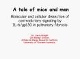 A tale of mice and men PowerPoint PPT Presentation