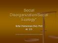 Social Disorganization/Social Ecology* PowerPoint PPT Presentation