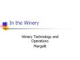 In the Winery PowerPoint PPT Presentation