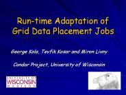 Run-time Adaptation of Grid Data Placement Jobs