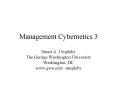 Management Cybernetics 3 PowerPoint PPT Presentation