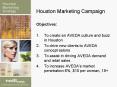 Houston Marketing Campaign PowerPoint PPT Presentation