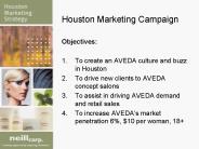 Houston Marketing Campaign