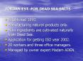 JORDAN EST. FOR DEAD SEA SALTS PowerPoint PPT Presentation