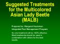 Suggested Treatments for the Multicolored Asian Lady Beetle MALB PowerPoint PPT Presentation