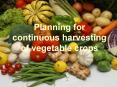 Planning for continuous harvesting of vegetable crops PowerPoint PPT Presentation