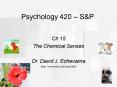 Psychology 420 S PowerPoint PPT Presentation