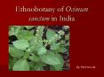Ethnobotany of Ocimum sanctum in India PowerPoint PPT Presentation