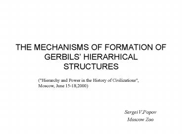 THE MECHANISMS OF FORMATION OF GERBILS HIERARHICAL STRUCTURES