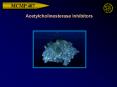 Acetylcholinesterase Inhibitors PowerPoint PPT Presentation