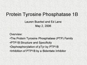 Protein Tyrosine Phosphatase 1B