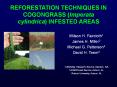 REFORESTATION TECHNIQUES IN COGONGRASS (Imperata cylindrica) INFESTED AREAS PowerPoint PPT Presentation