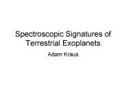 Spectroscopic Signatures of Terrestrial Exoplanets