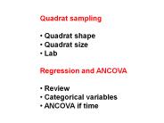 Quadrat sampling