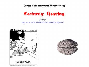 Principles of Sensory Systems