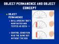 Object Permanence and Object Concept PowerPoint PPT Presentation