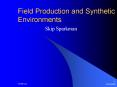 Field Production and Synthetic Environments PowerPoint PPT Presentation