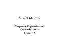 Visual Identity PowerPoint PPT Presentation