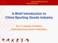 A Brief Introduction to China Sporting Goods Industry PowerPoint PPT Presentation