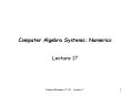 Computer Algebra Systems: Numerics PowerPoint PPT Presentation