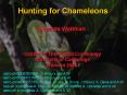 Hunting for Chameleons PowerPoint PPT Presentation