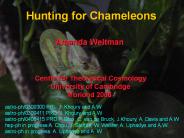 Hunting for Chameleons