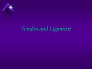 Tendon and Ligament