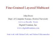 FineGrained Layered Multicast
