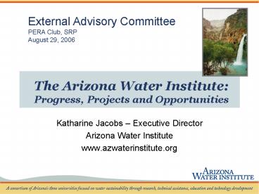 The Arizona Water Institute: Progress, Projects and Opportunities