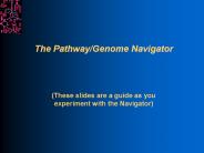 The Pathway/Genome Navigator