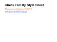 Check Out My Style Sheet PowerPoint PPT Presentation