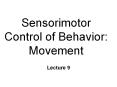 Sensorimotor Control of Behavior: Movement PowerPoint PPT Presentation