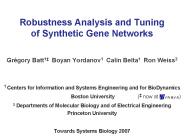 Robustness Analysis and Tuning of Synthetic Gene Networks