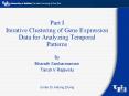 Part I Iterative Clustering of Gene Expression Data for Analyzing Temporal Patterns PowerPoint PPT Presentation