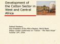Development of the Cotton Sector in West and Central Africa PowerPoint PPT Presentation
