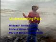 Understanding Pain PowerPoint PPT Presentation