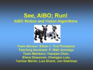 See, AIBO Run AIBO Motion and Vision Algorithms